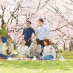 取手市・土浦市で春に増える浮気のきっかけ　花見が不倫につながることも