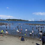 急に茨城の潮干狩りへ行こうと言い出した。浮気相手と先に行っている可能性も