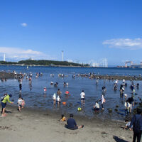 急に茨城の潮干狩りへ行こうと言い出した。浮気相手と先に行っている可能性も