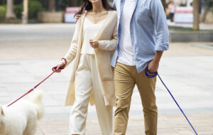 犬の散歩から始まる出会いと浮気の兆候